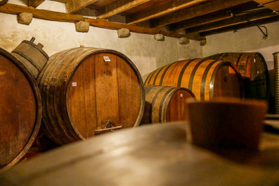 Winecellars, Pelješac