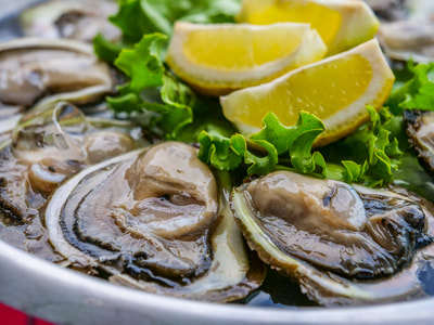 Oysters from Mali Ston, Peljesac