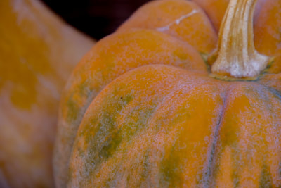 Pumpkin, Croatia